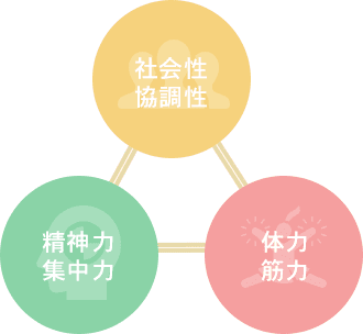 体操を通じて、①社会性・協調性　②精神力・集中力　③体力・筋力<br>
							の習得を目指しています。